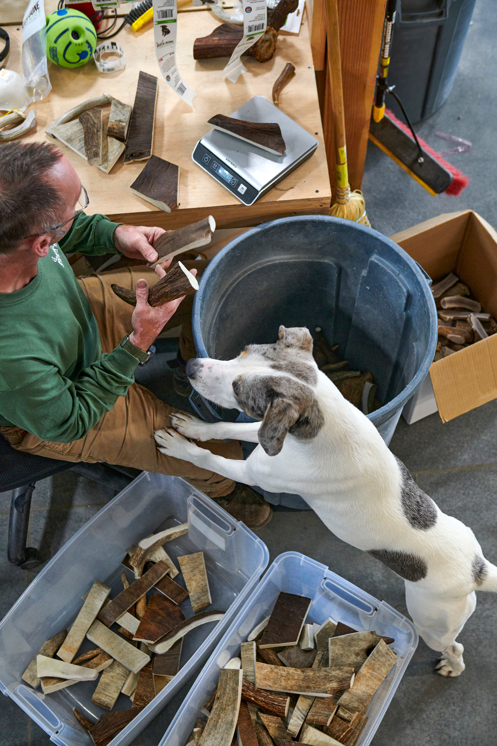 Buck_Bone_2020-06-16_Cutting_Sanding_Selects_091copy