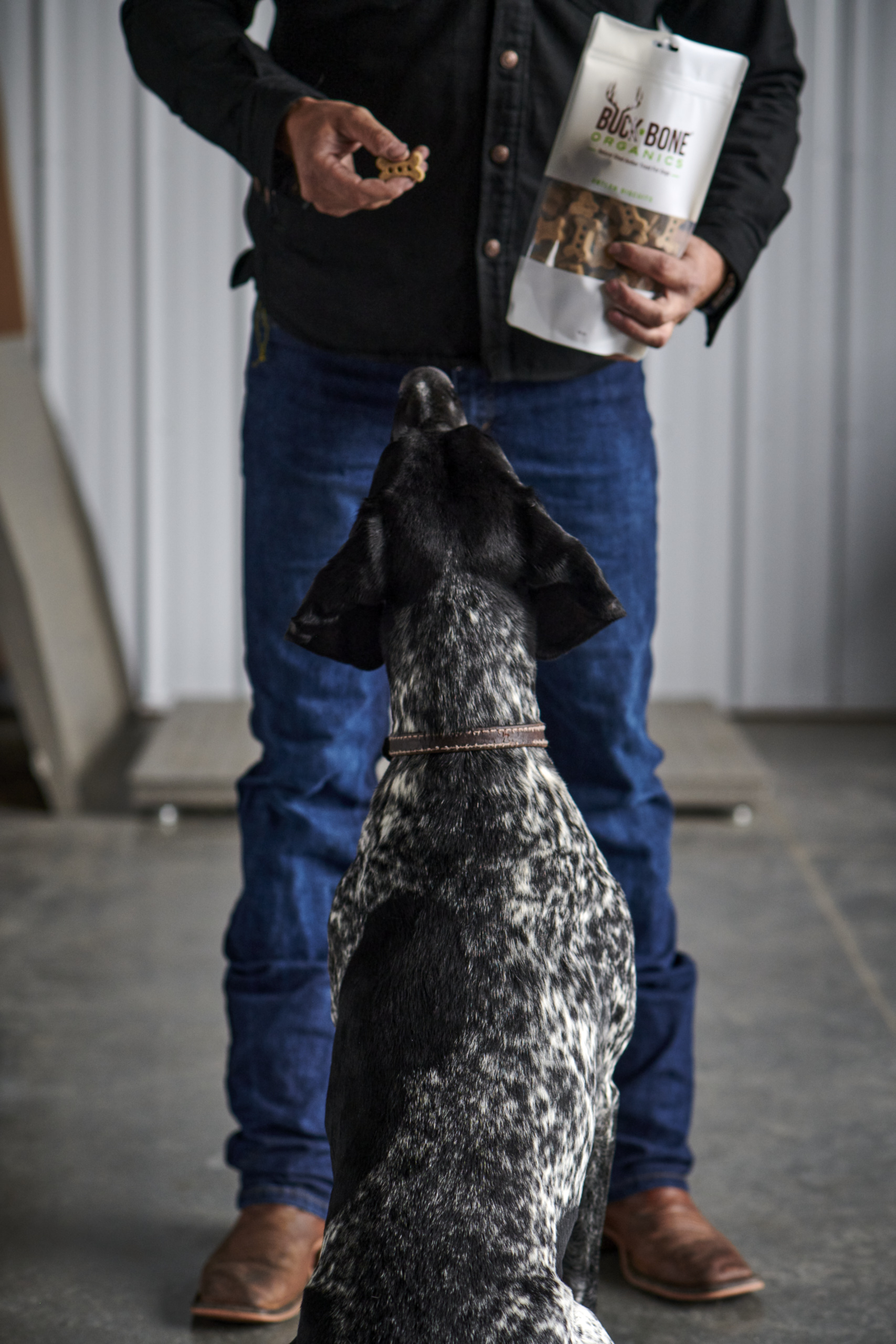 Buck_Bone_2020-06-17_Dog_Stills_Selects_023copy