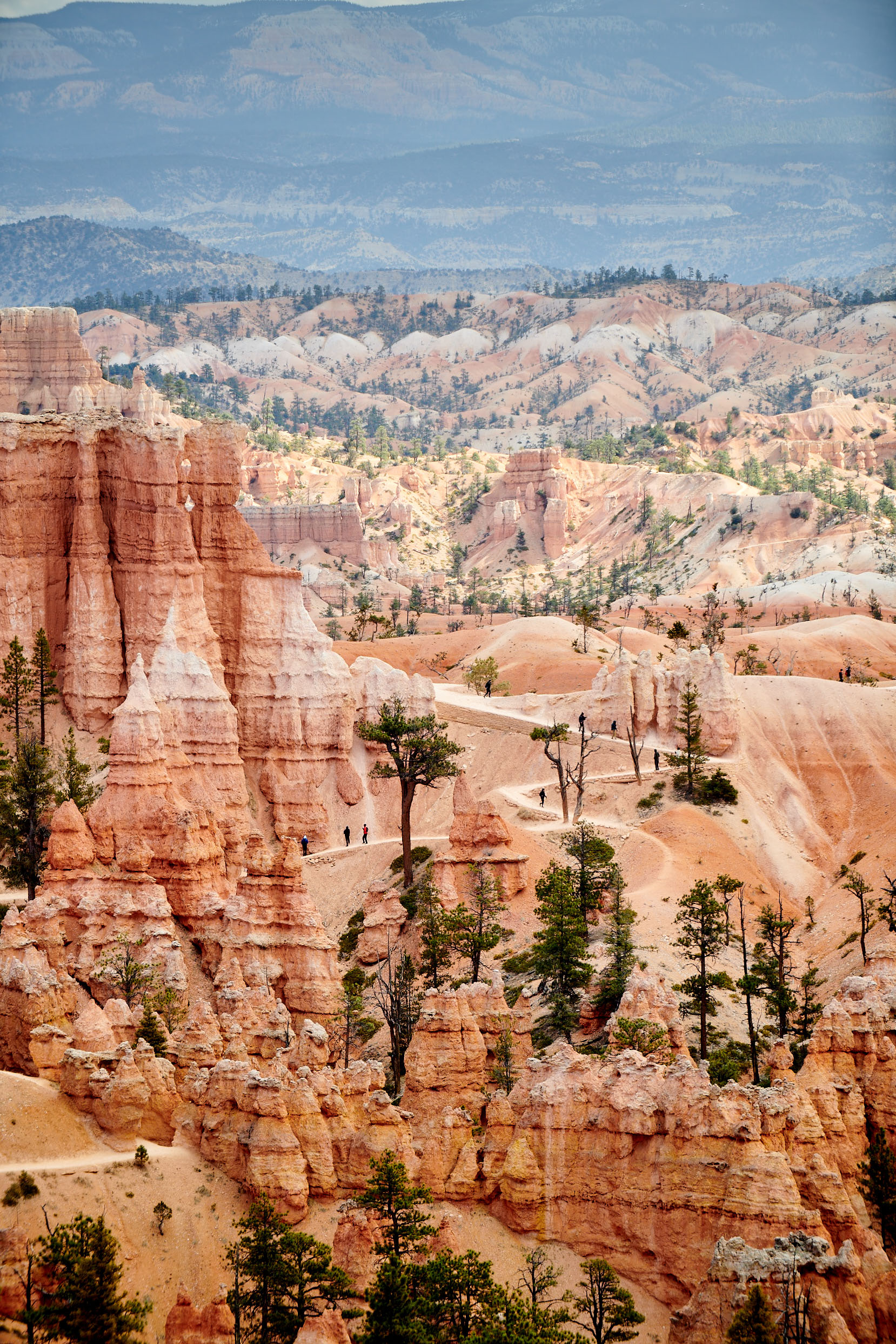 Personal_2021-04-10_Road_Trip_BryceCanyon_Selects_046