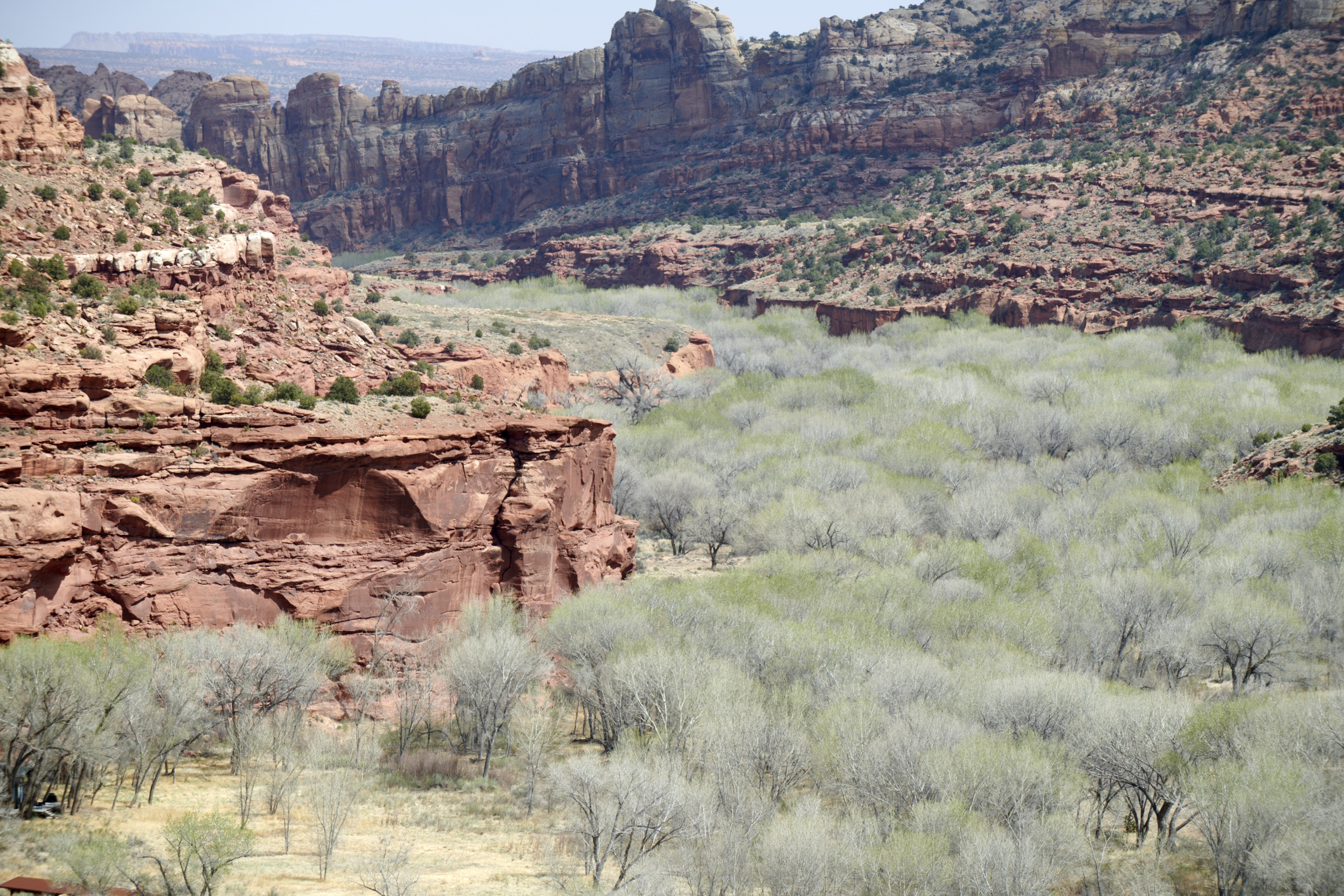 Personal_2021-04-10_Road_Trip_Utah_12_Selects_009